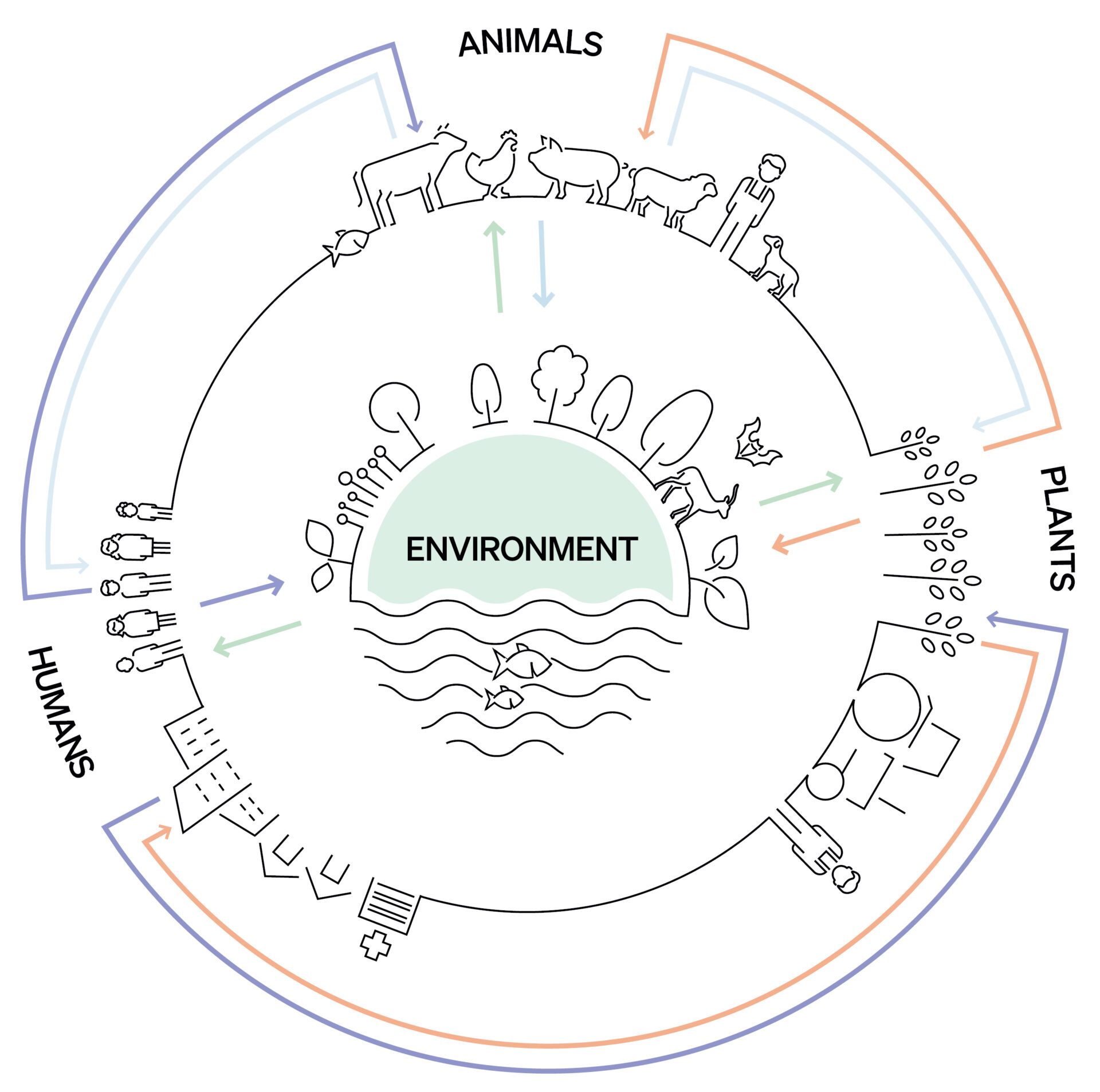 Evidence-Based Guidance for One Health Preparedness,Prevention, and Response Strategies to Marburg VirusDisease Outbreaks