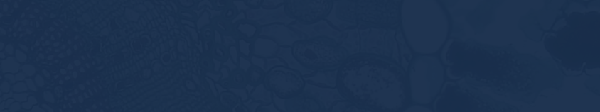 The Ministry of health launches 13 medical training programs